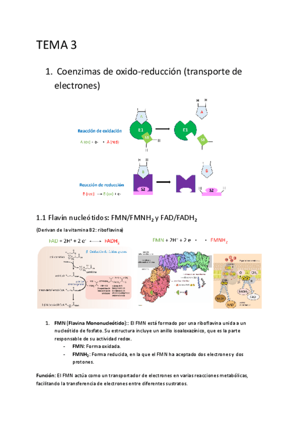 Miniatura del documento TEMA-3.pdf