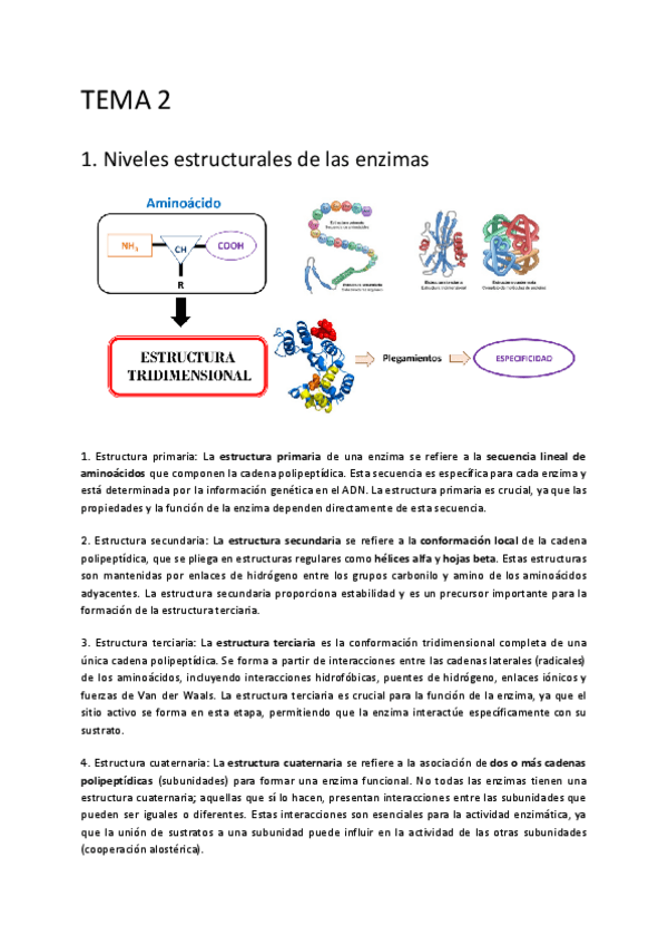 Miniatura del documento TEMA-2.pdf