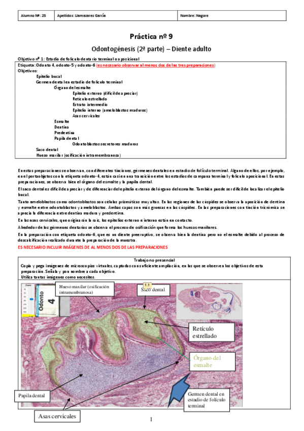 Miniatura del documento PL9.pdf