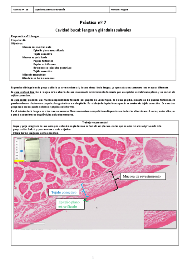 Miniatura del documento PL7.pdf