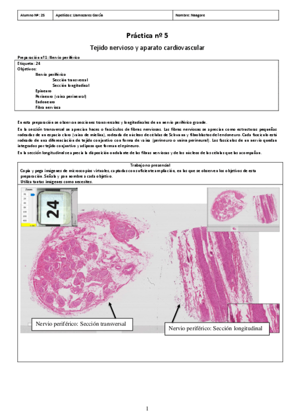 Miniatura del documento PL5.pdf