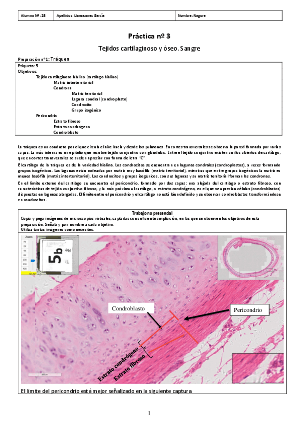 Miniatura del documento PL3.pdf