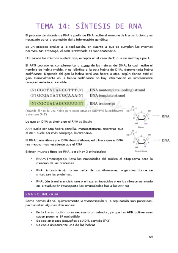 Miniatura del documento Tema-14.pdf