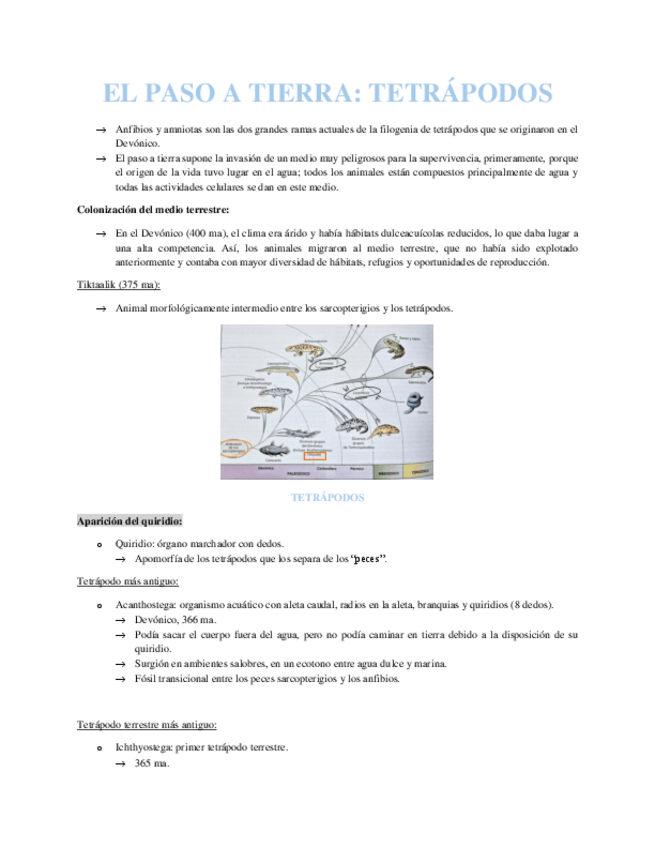 Miniatura del documento EL-PASO-A-TIERRA.pdf
