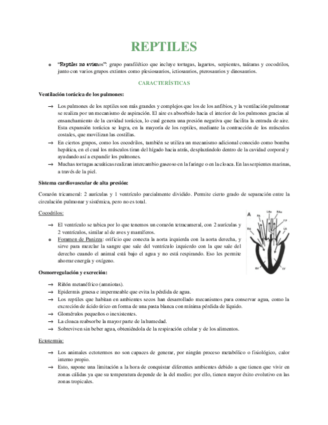 Miniatura del documento REPTILES.pdf
