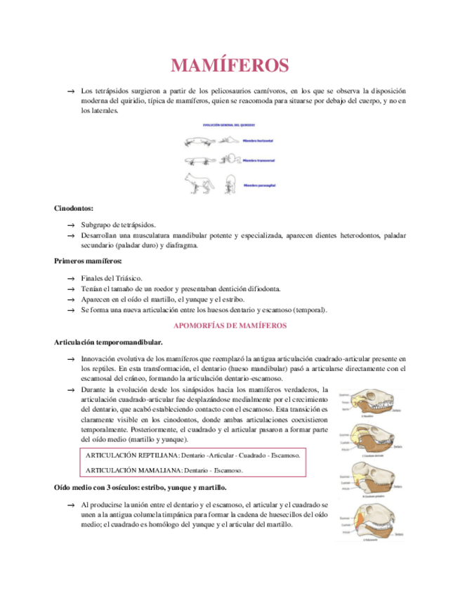 Miniatura del documento MAMIFEROS.pdf