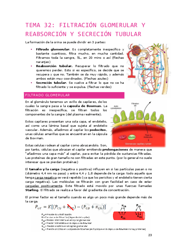 Miniatura del documento Tema-32.pdf