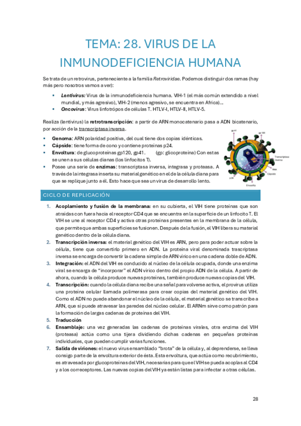 Miniatura del documento Tema-28.pdf