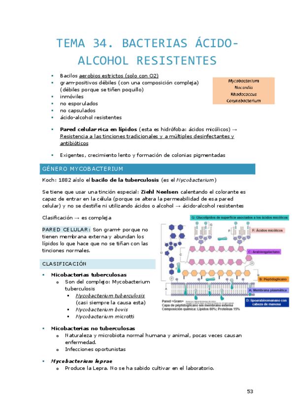 Miniatura del documento Tema-34.pdf