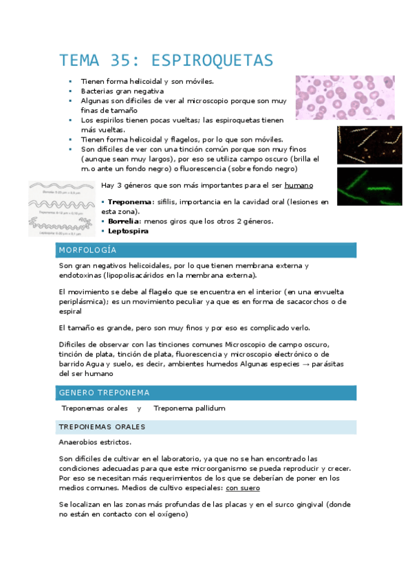 Miniatura del documento Tema-35.pdf