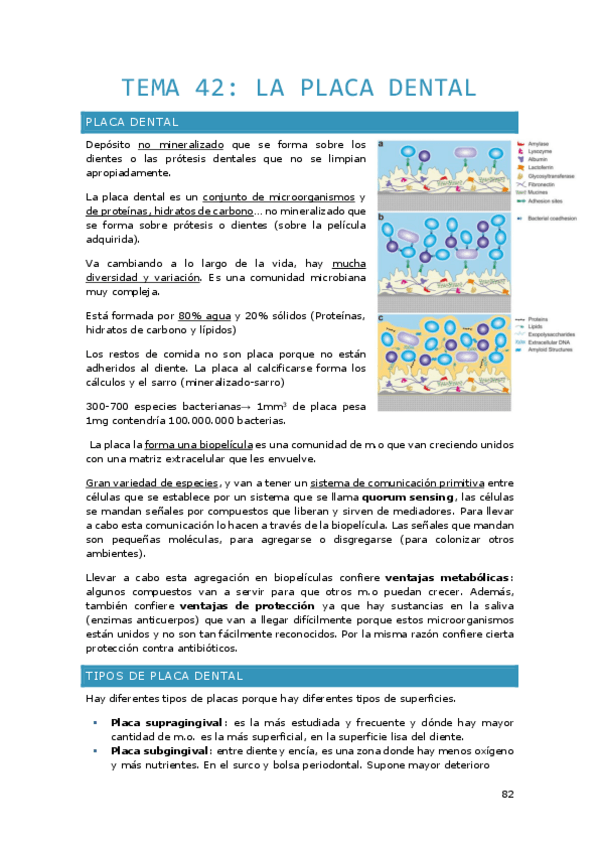 Miniatura del documento Tema-42.pdf