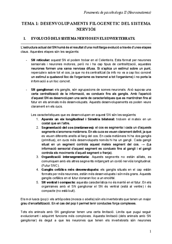 Miniatura del documento T1-DESARROLLO-FILOGENETICO-DEL-SISTEMA-NERVIOSO.pdf