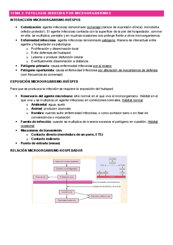 Miniatura del documento tema3fp.pdf