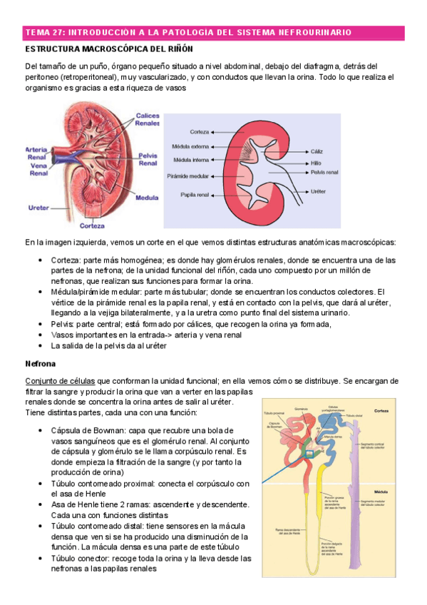 Miniatura del documento tema27fp.pdf