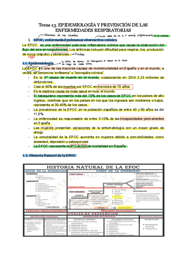 Miniatura del documento Tema-13.-EPIDEMIOLOGAA-Y-PREVENCIAN-DE-LAS-ENFERMEDADES-RESPIRATORIAS.pdf