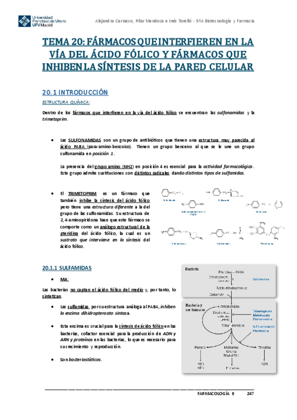 Miniatura del documento Tema-20-FARMACOLOGIA-II.pdf