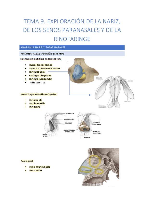 Miniatura del documento tema-9.pdf