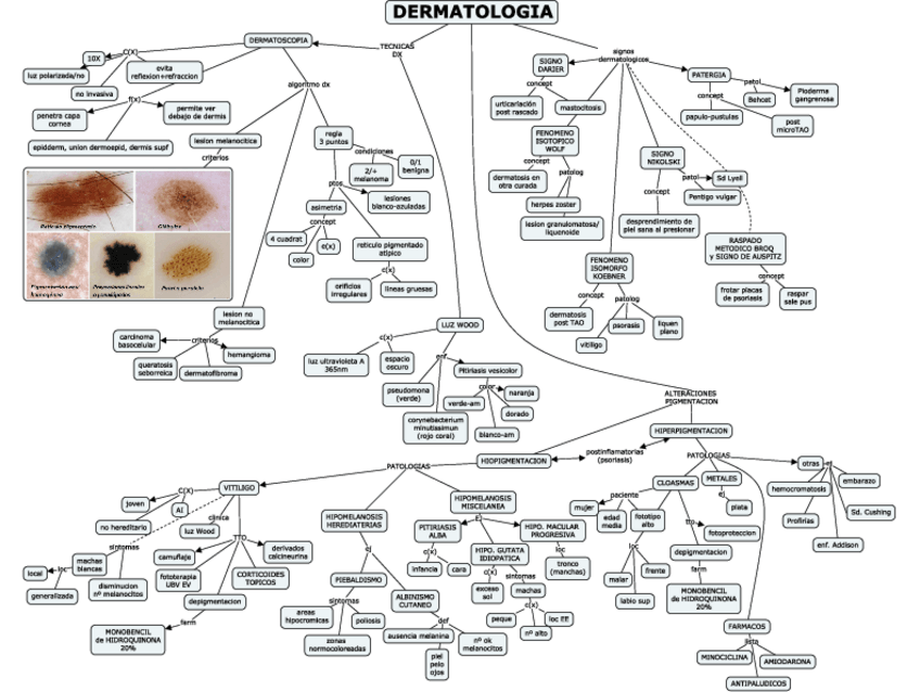 Miniatura del documento tema-1.2.pdf