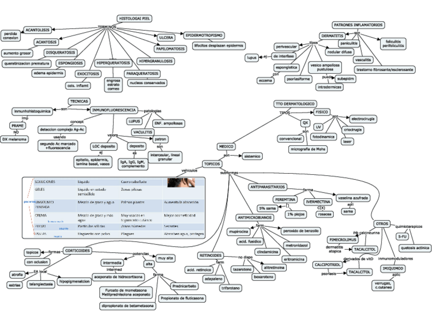 Miniatura del documento TEMA-2.pdf