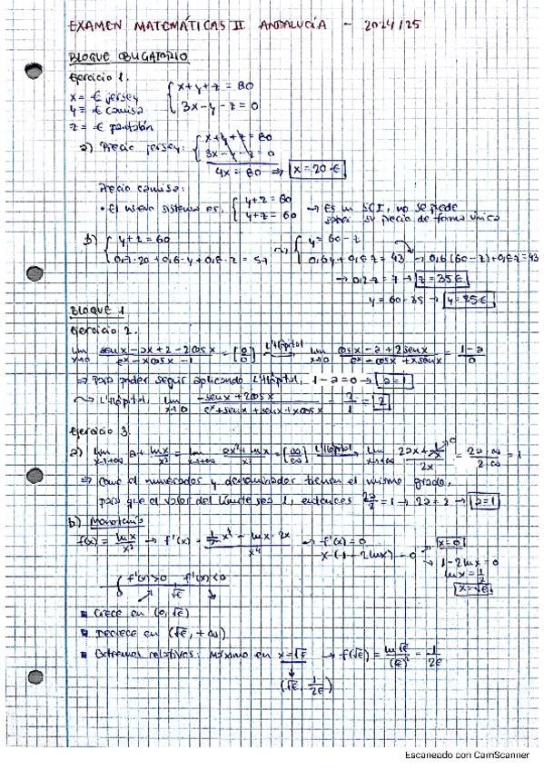 Miniatura del documento SOLUCIONES-EXAMEN-MATEMATICAS-II-PAU-ANDALUCIA-2025.pdf