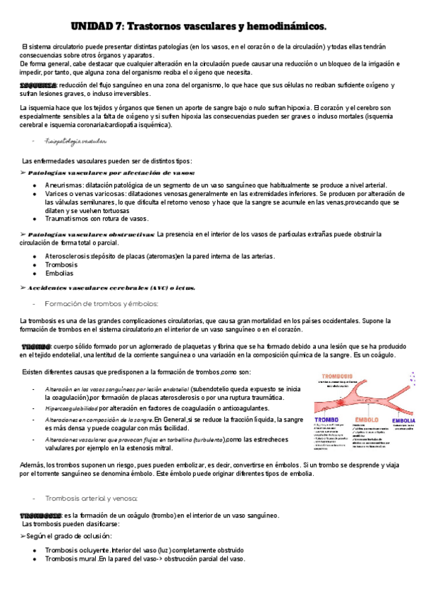 Miniatura del documento Trastornos-vasculares-y-hemodinamicos-1.pdf