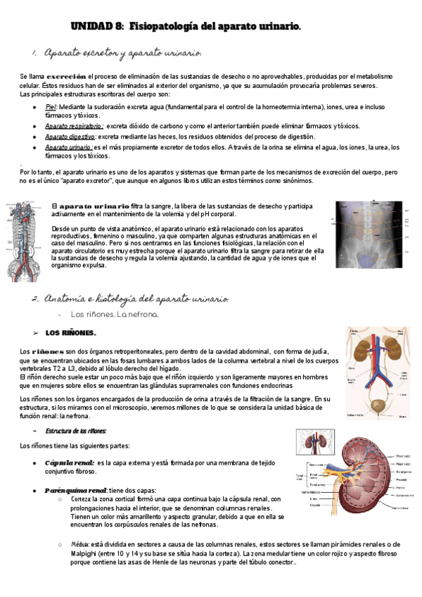 Miniatura del documento Fisiopatologia-del-aparato-urinario.pdf
