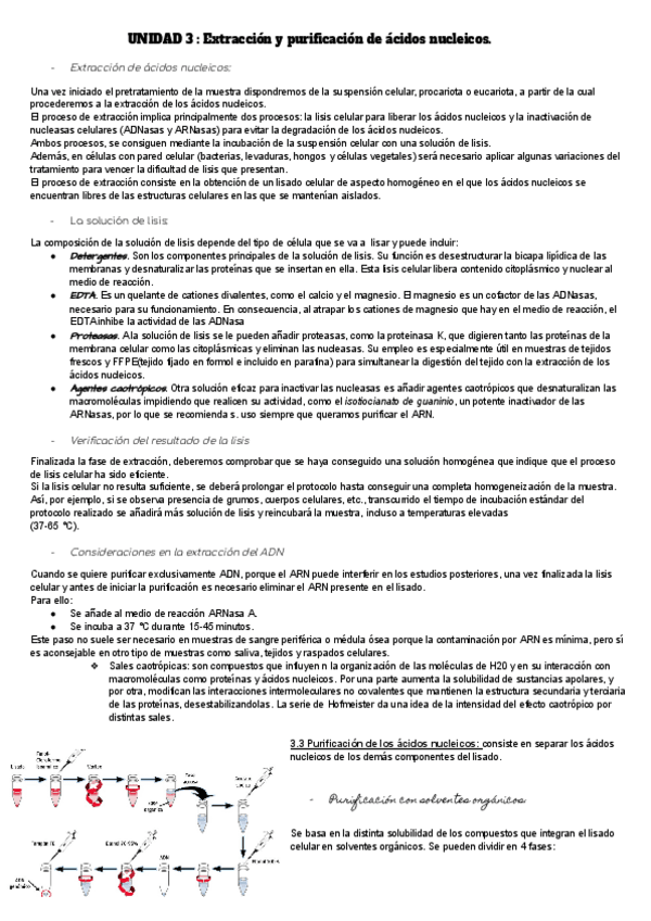 Miniatura del documento Extraccion-y-purificacion-de-acidos-nucleicos.pdf
