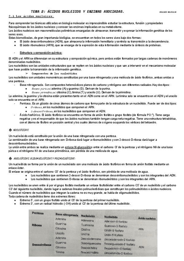 Miniatura del documento ACIDOS-NUCLEICOS-Y-ENZIMAS-ASOCIADAS.pdf
