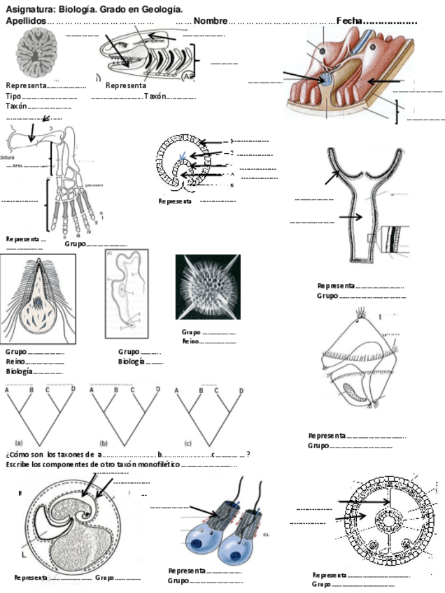 Miniatura del documento examen fotos 2.pdf