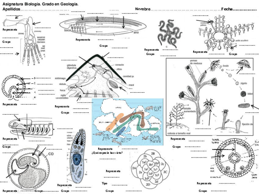 Miniatura del documento examen fotos.pdf