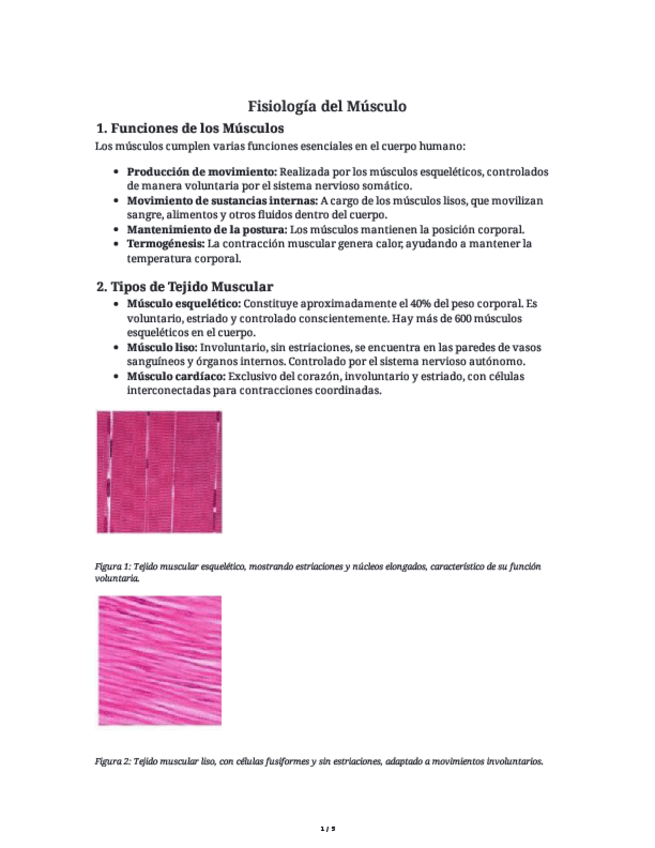 Miniatura del documento Tema-5.pdf