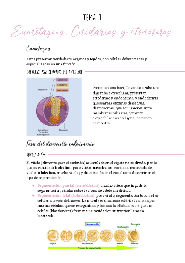 Miniatura del documento Tema-9-biologia.pdf