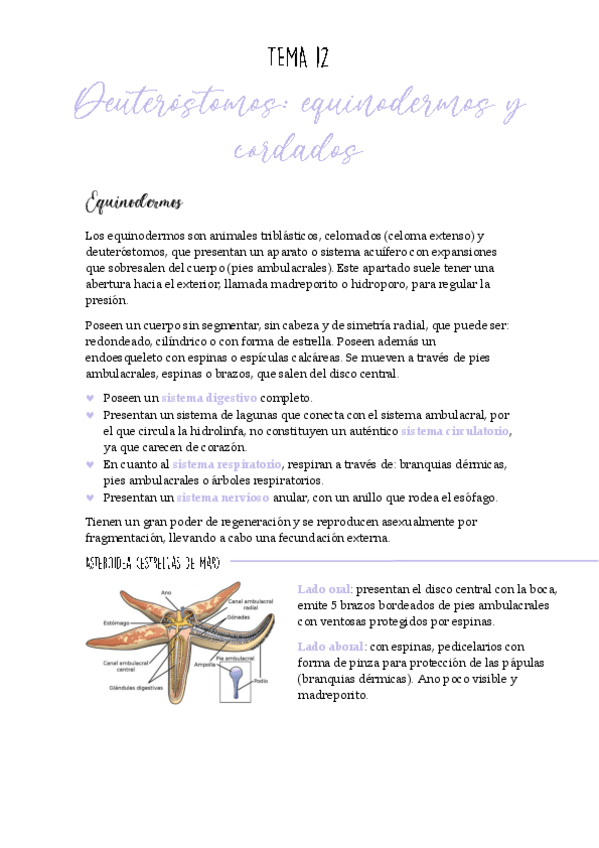 Miniatura del documento Tema-12-biologia.pdf