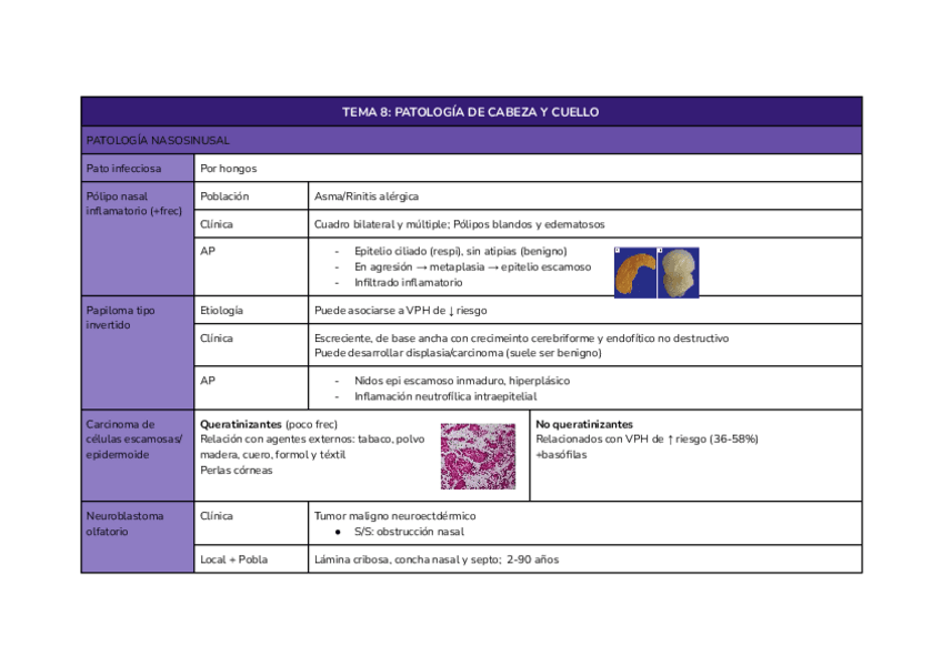 Miniatura del documento TEMA-8-Patologia-de-cabeza-y-cuello.pdf