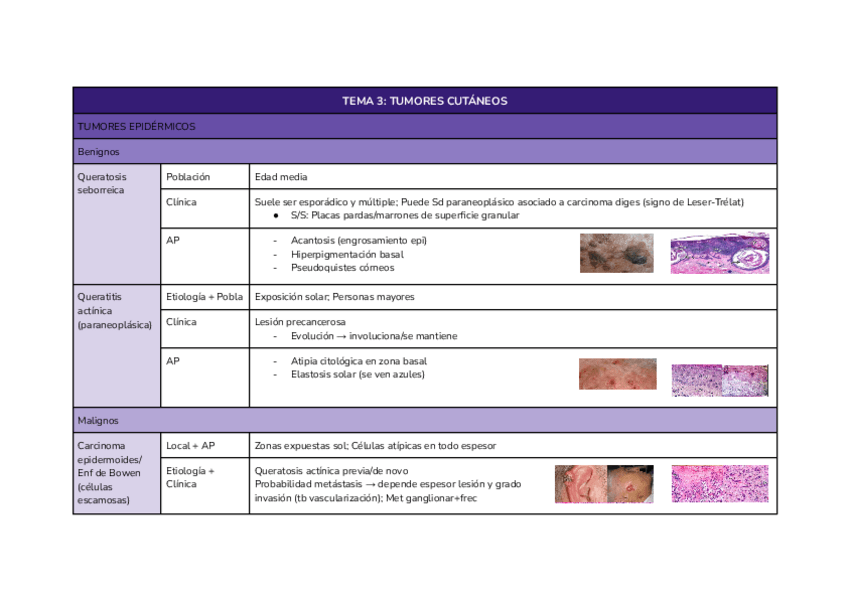 Miniatura del documento TEMA-3-Tumores-cutaneos.pdf