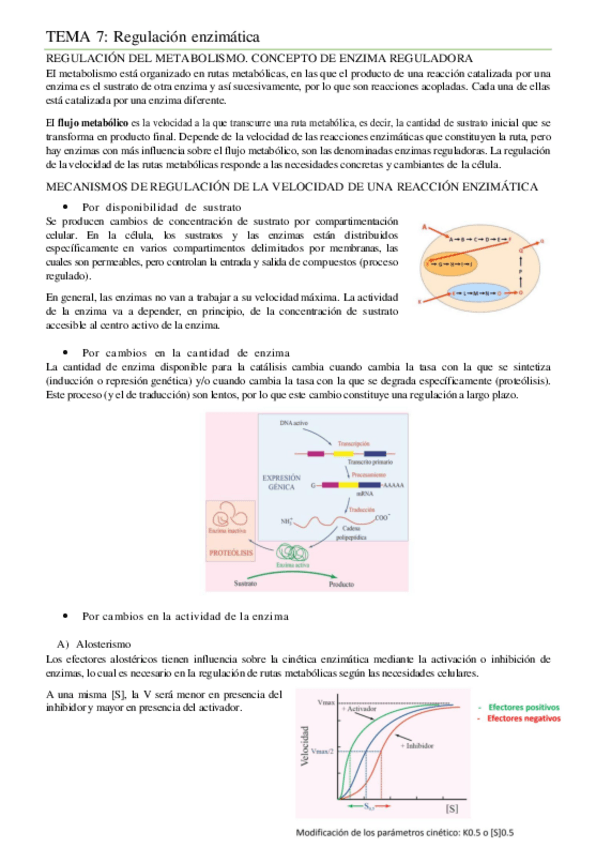 Miniatura del documento TEMA-7.pdf