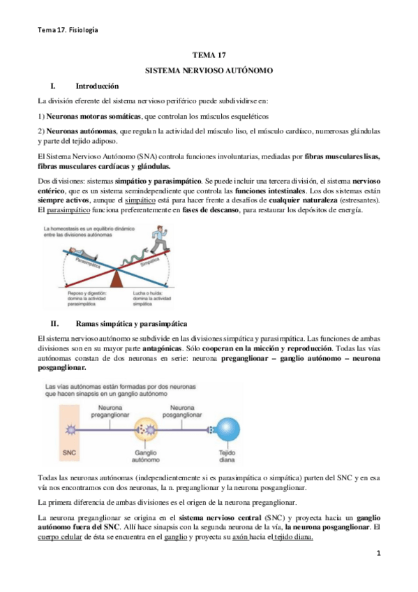 Miniatura del documento TEMA-17-fisiologia-completo.pdf