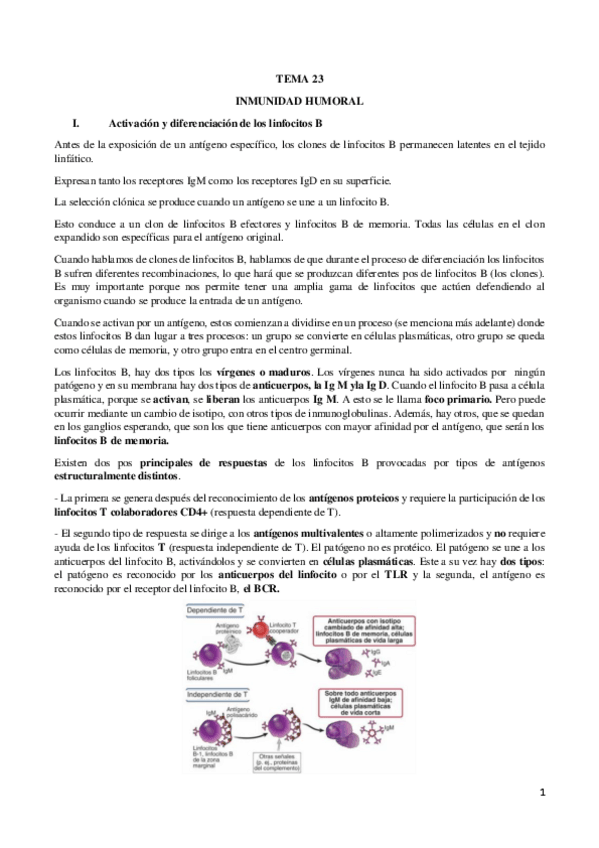 Miniatura del documento TEMA-23-fisiologia-1.pdf
