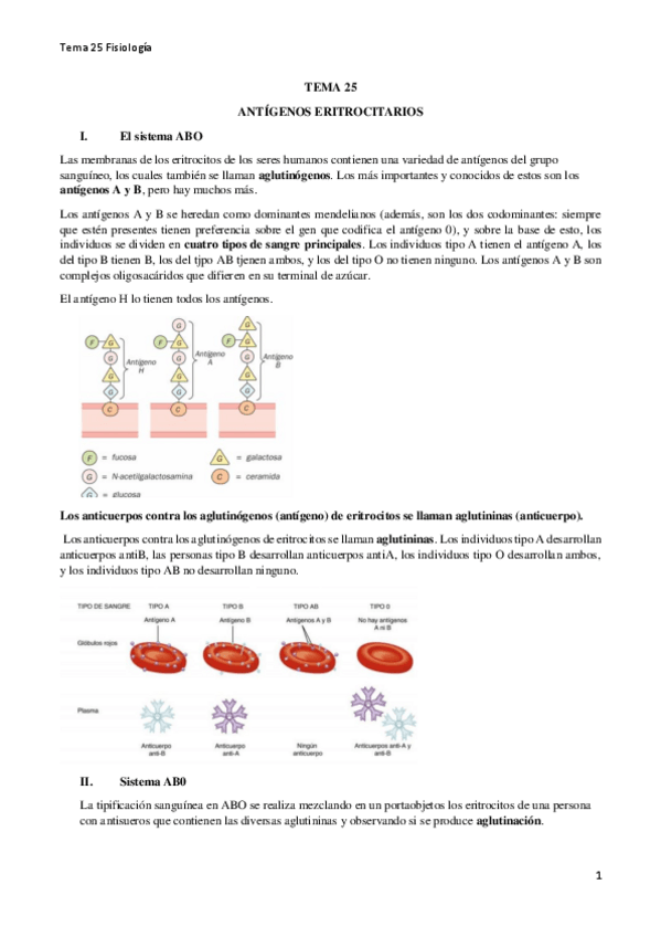 Miniatura del documento TEMA-25-fisiologia.pdf