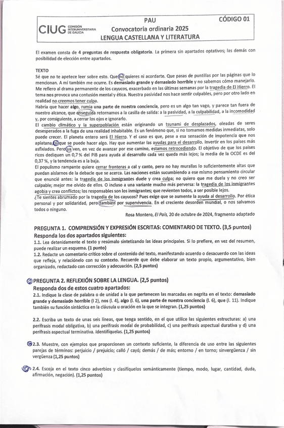 Miniatura del documento PAU-ORDINARIA-2025-GALICIA-LENGUA-CASTELLANA.pdf