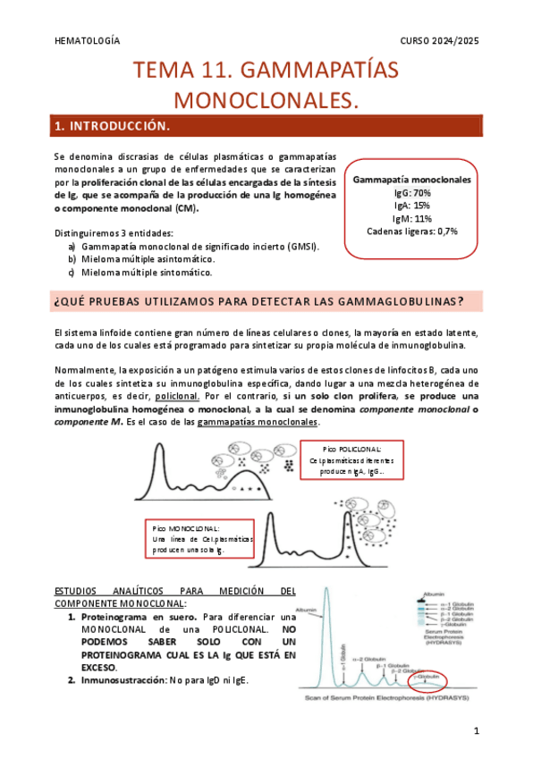 Miniatura del documento Resumen-Tema-11.-Gammapatias-monoclonales.pdf