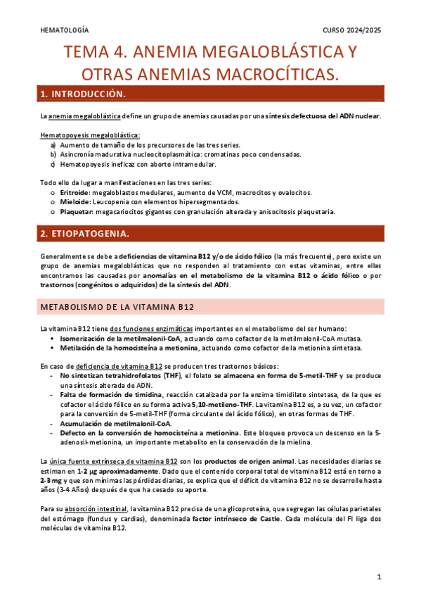 Miniatura del documento Resumen-Tema-4.-Anemia-megaloblastica-y-otras-anemias-macrociticas.pdf