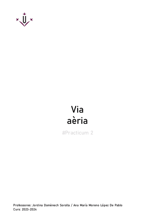 Miniatura del documento Via-aeria-Teoria.pdf