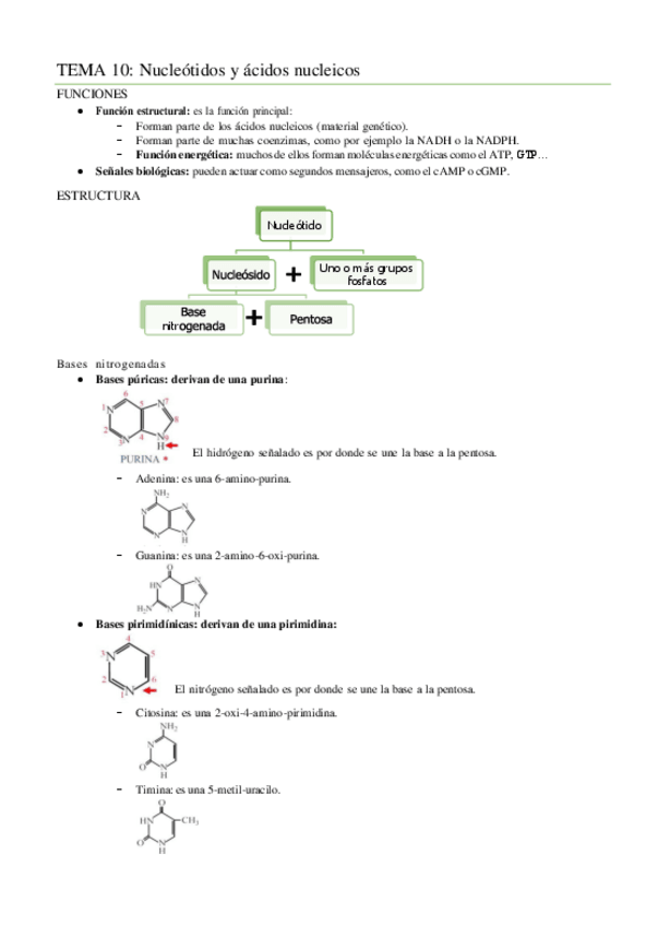Miniatura del documento TEMA-10.pdf