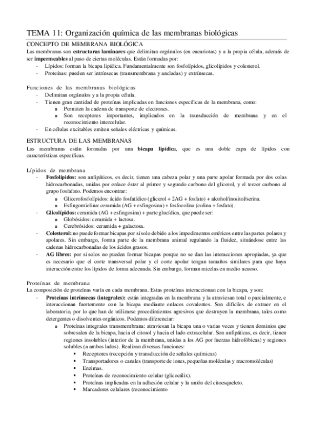 Miniatura del documento TEMA-11.pdf