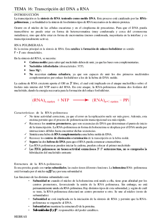Miniatura del documento TEMA-16.pdf