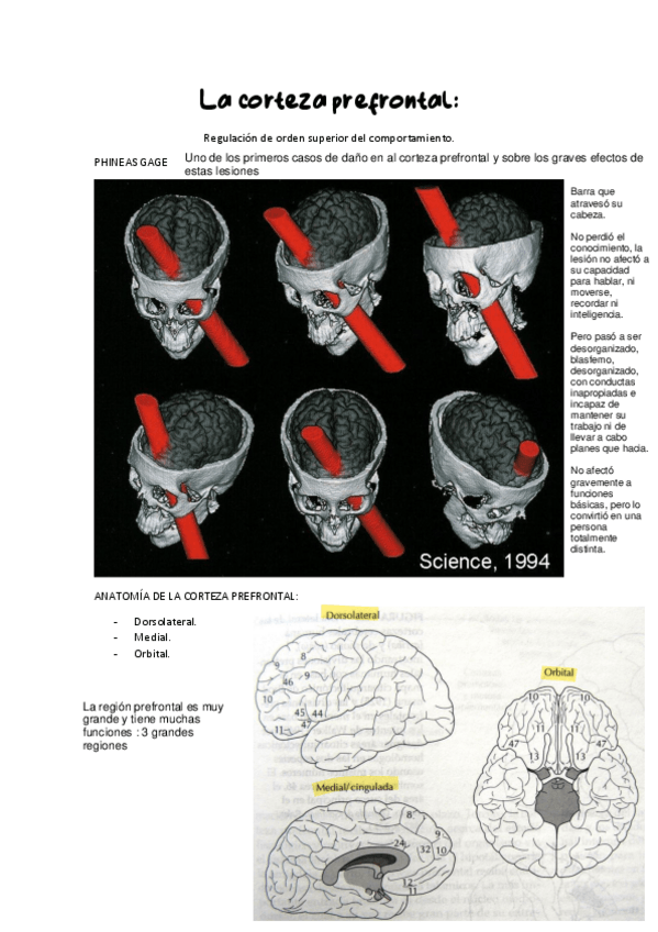 Miniatura del documento TEMA7.pdf
