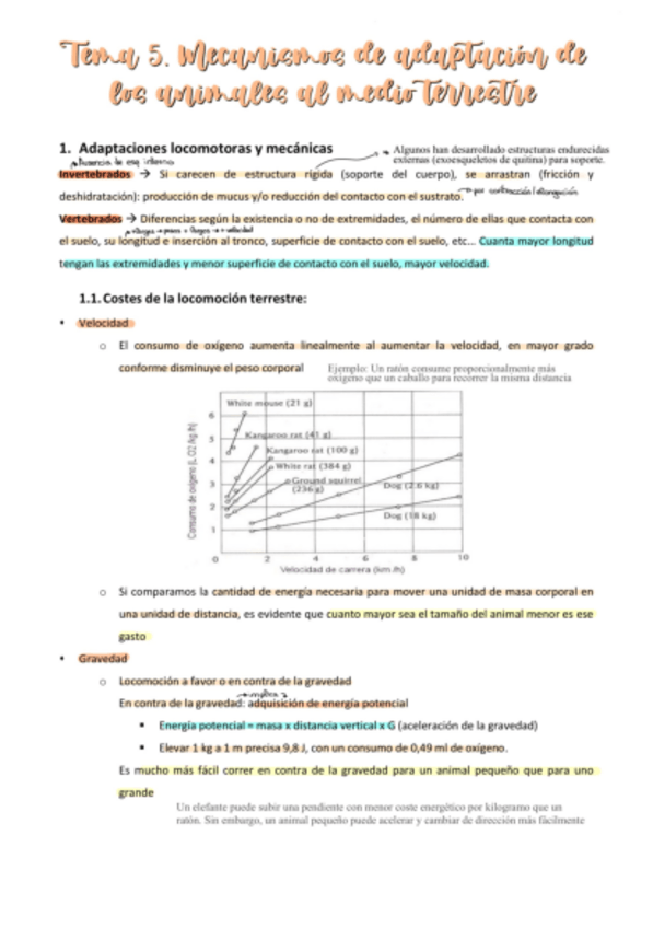 Miniatura del documento Tema-5-animales-en-medio-terrestre.pdf
