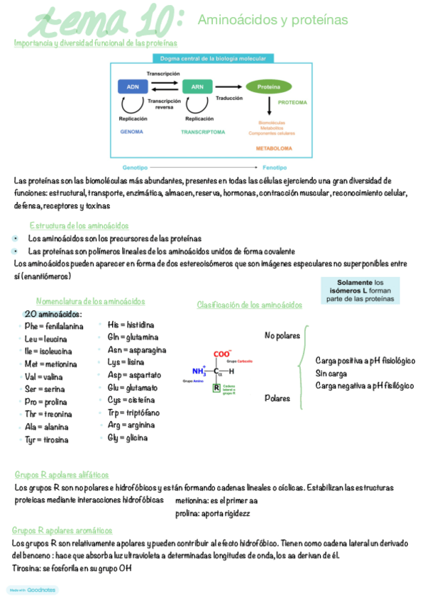 Miniatura del documento tema-10.pdf