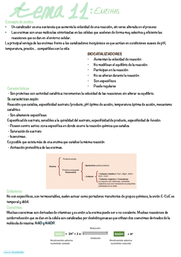 Miniatura del documento tema-11.pdf